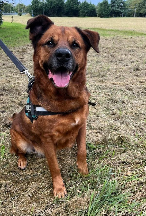 JONAS CAGNOLONE GENTILE Foto 4